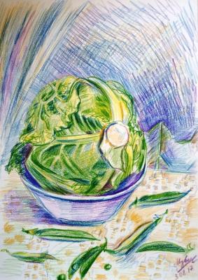 Beauty cabbage. Medvedeva Maria