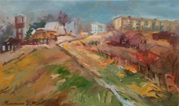 Vegetable gardens in Nizino