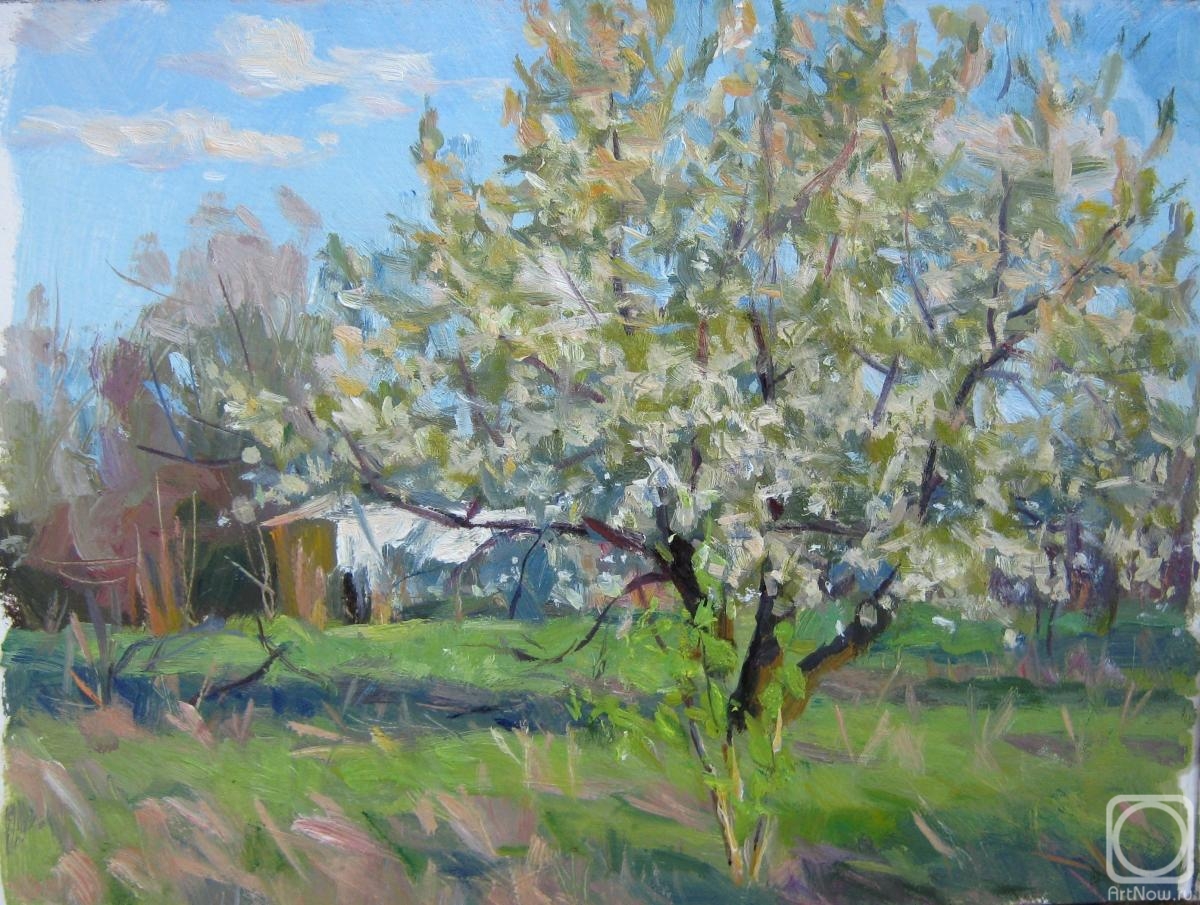 Voronov Vladimir. White cherry tree (etude)
