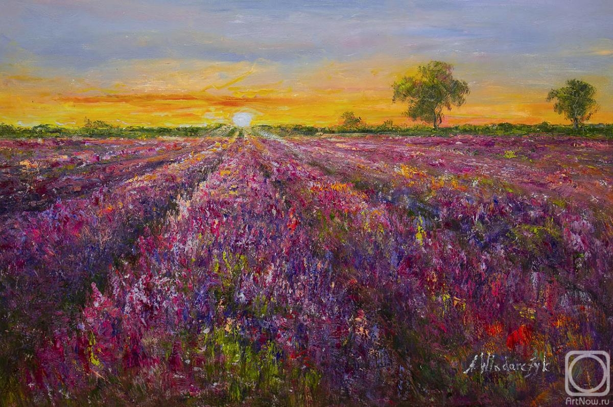Vlodarchik Andjei. Sunset in the lavender fields N2