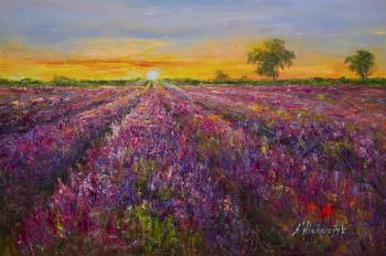 Sunset in the lavender fields N2. Vlodarchik Andjei