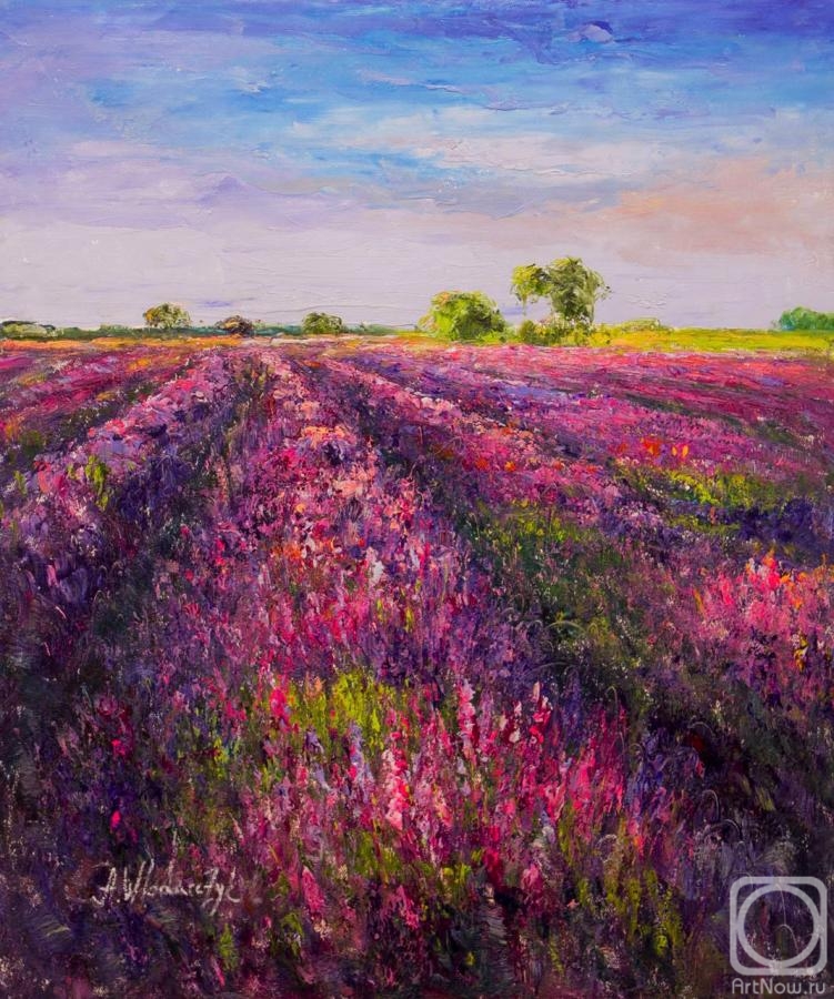 Vlodarchik Andjei. Lavender fields at dawn