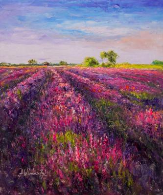 Lavender fields at dawn. Vlodarchik Andjei
