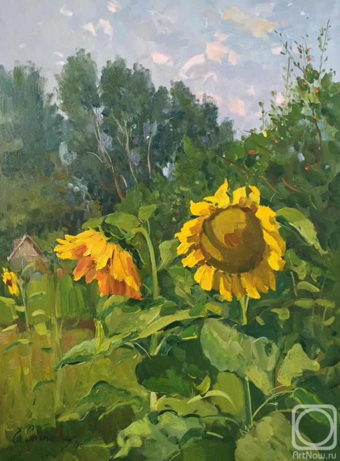 Sayapina Elena. Sunflowers