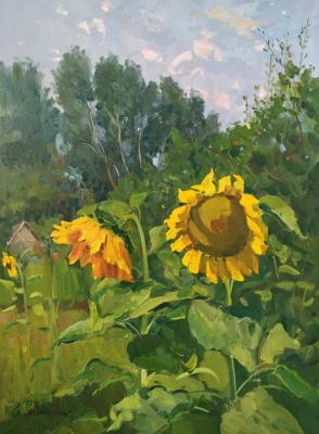 ������� �����������