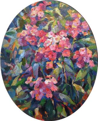 ������� ��������