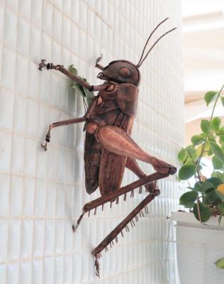 Grasshopper. Samoilov Michael