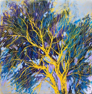 The sun in the branches