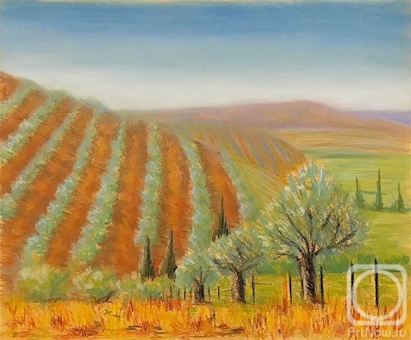 Lukaneva Larissa. Copy 229 (Olive fields of Tuscany)