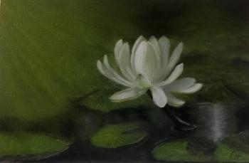 White Lily. Fomina Lyudmila