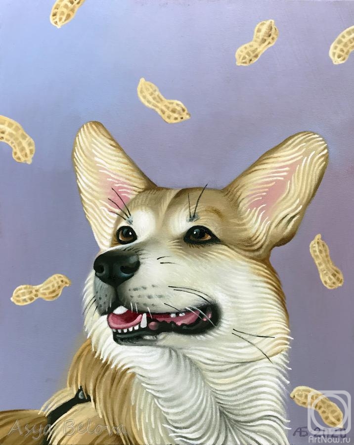 ������� ������ �� ������. ������ ���. ����� �� ������ ������