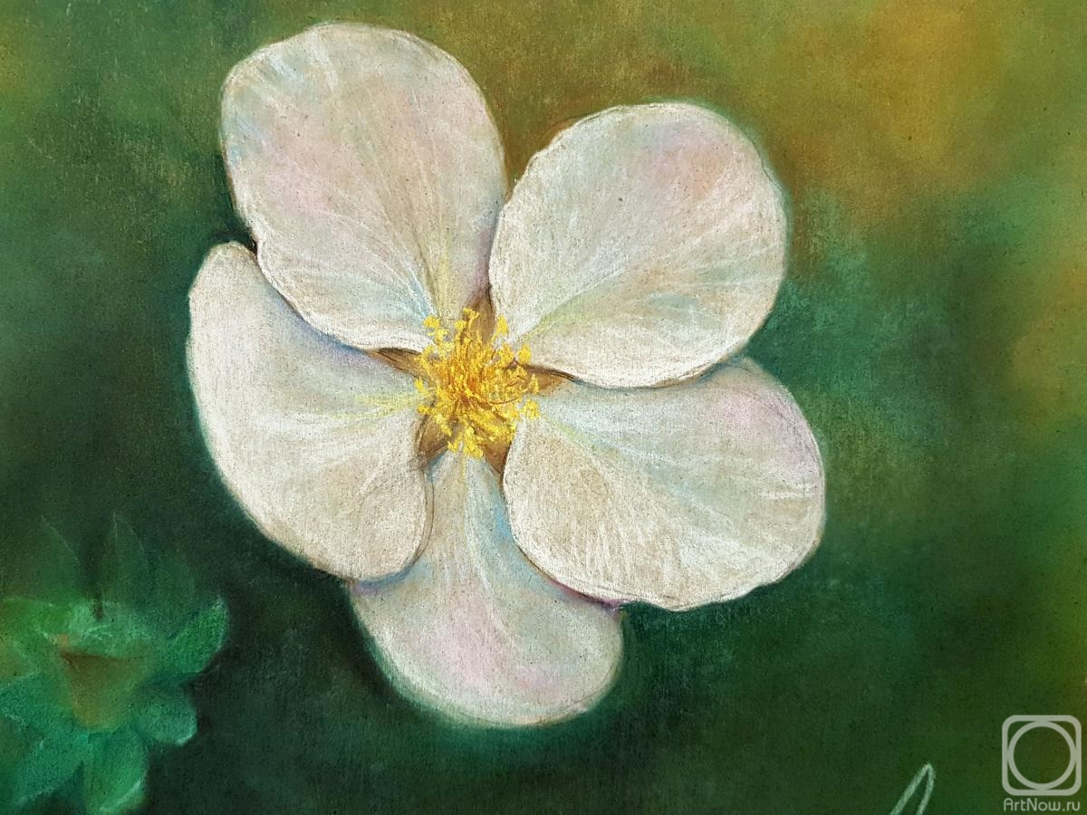 �������. �������� ������. ����� ������