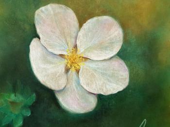 ������� ������ ������