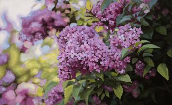 ������. �������� �������