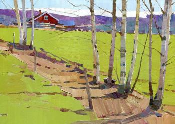 On the outskirts of Sunne (Swedish Landscape). Tyutrin Peter