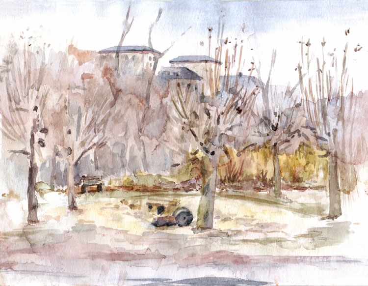 �������. ������� ����. ���������