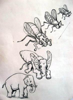 From the Fly - Elephant. Ast Marina