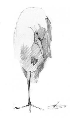 ������� ������