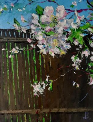 ������� ���������