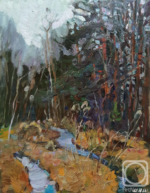 Zhukova Juliya. Forest stream