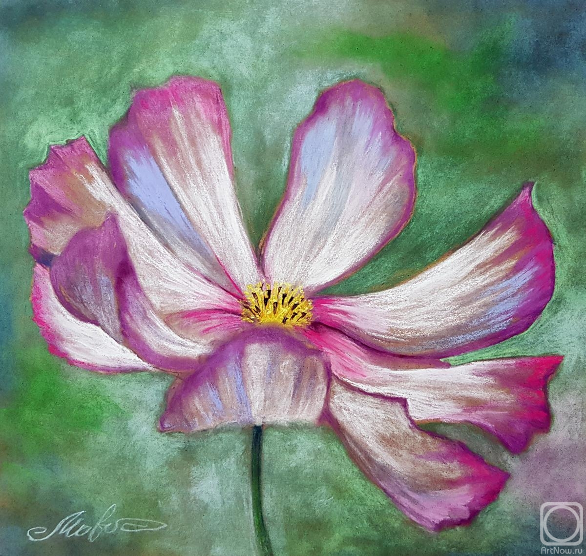 �������. �������� ������. ������� ������