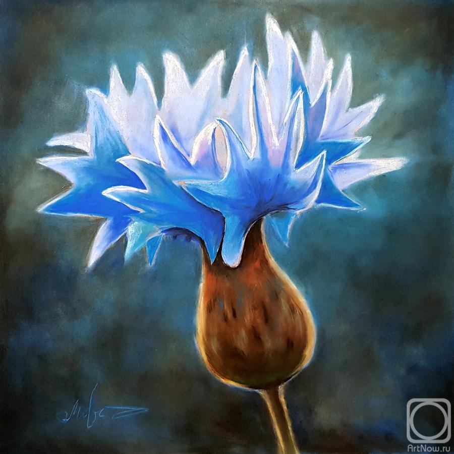 �������. �������� ������. �������