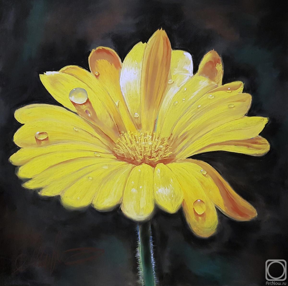 �������. �������� ������. �������