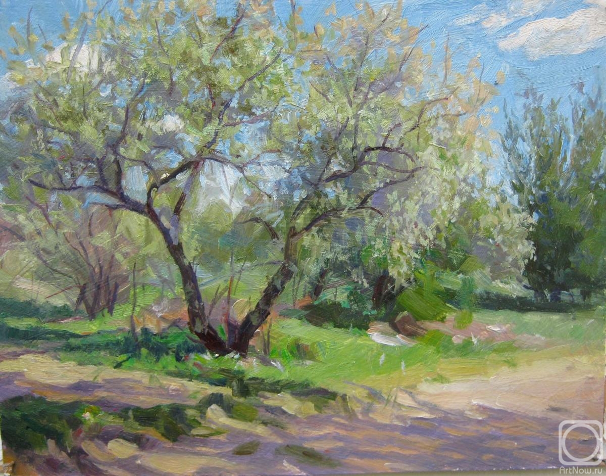 Voronov Vladimir. Study of a flowering tree