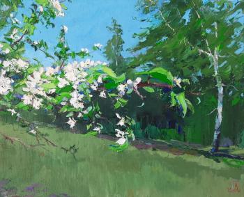 ������� �������