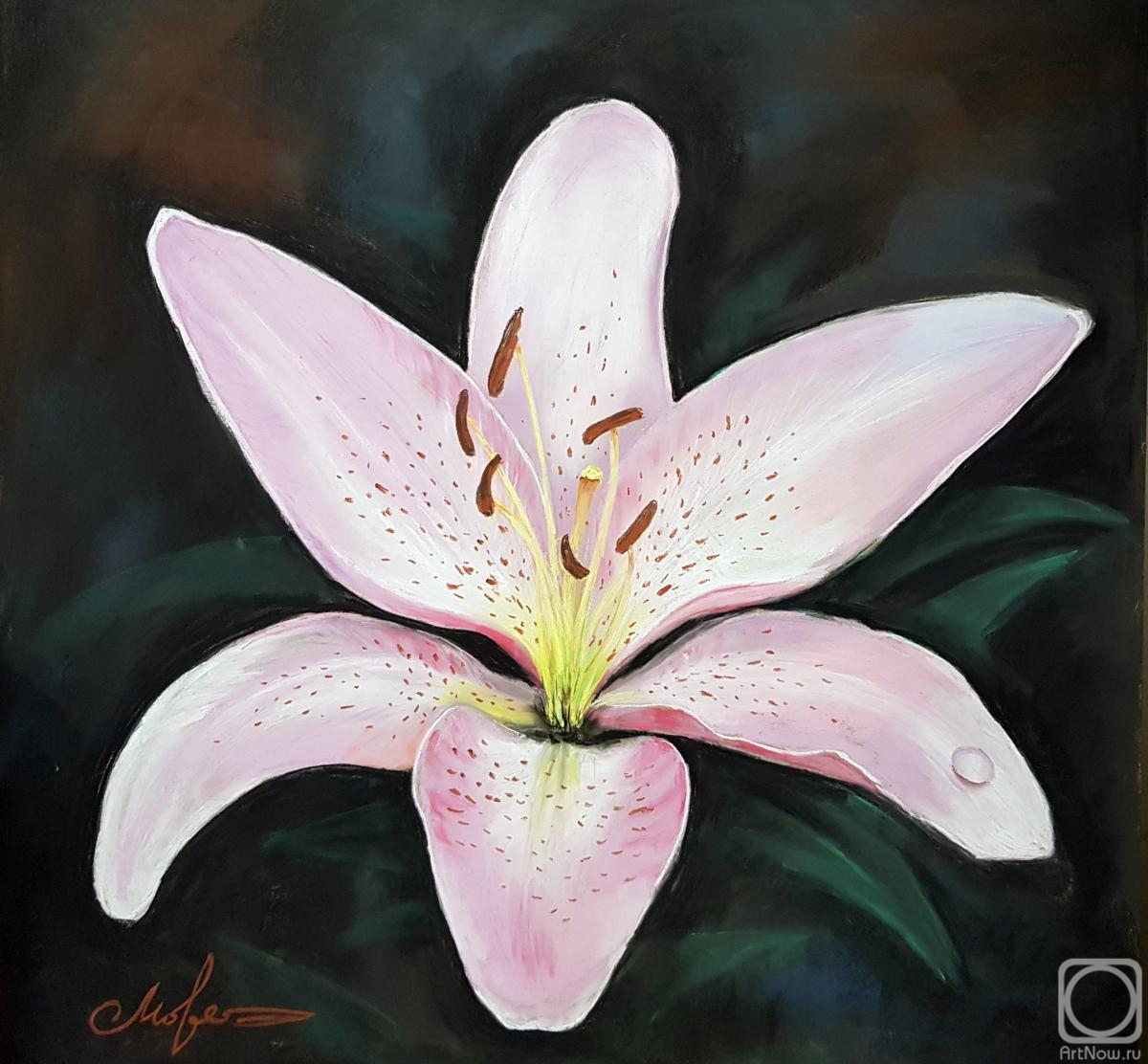 �������. �������� ������. �����