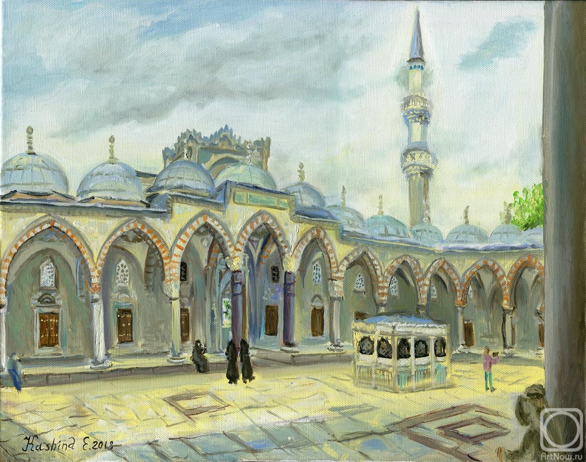 Kashina Eugeniya. The courtyard of the Suleymaniye Mosque, Istanbul, Turkey