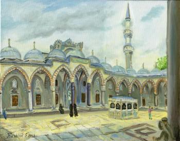 The courtyard of the Suleymaniye Mosque, Istanbul, Turkey