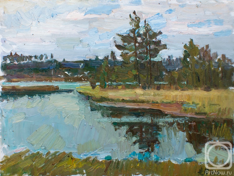 Zhukova Juliya. Forest Lake
