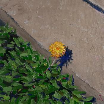 ������. ���������� �������