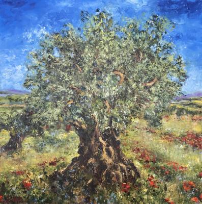Olive Tree. Malivani Diana