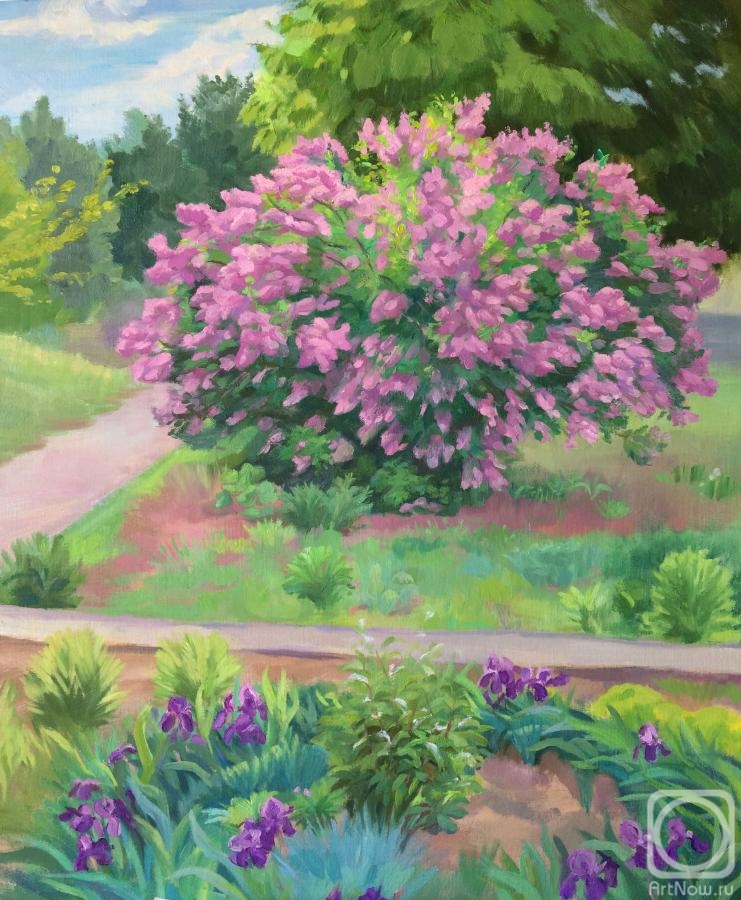 Tsebenko Natalia. The lilac Bush in may