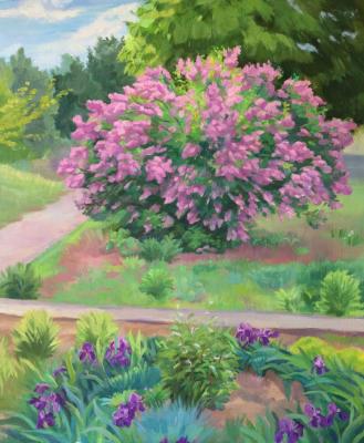 The lilac Bush in may. Tsebenko Natalia