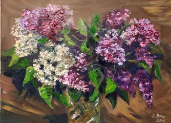A bouquet of lilacs