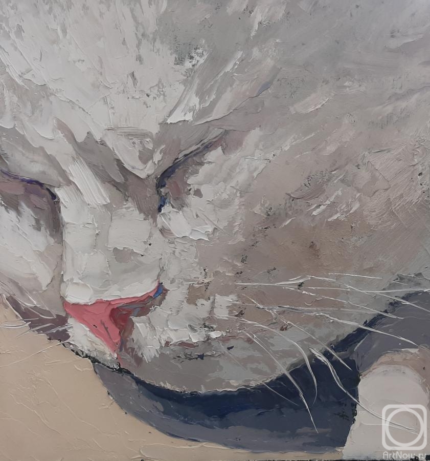 �������. ���������� �������. �������