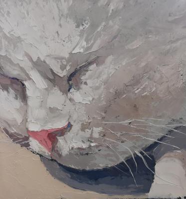 ������� ��������