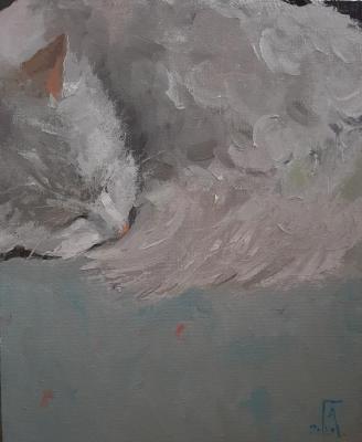 ������� ���������