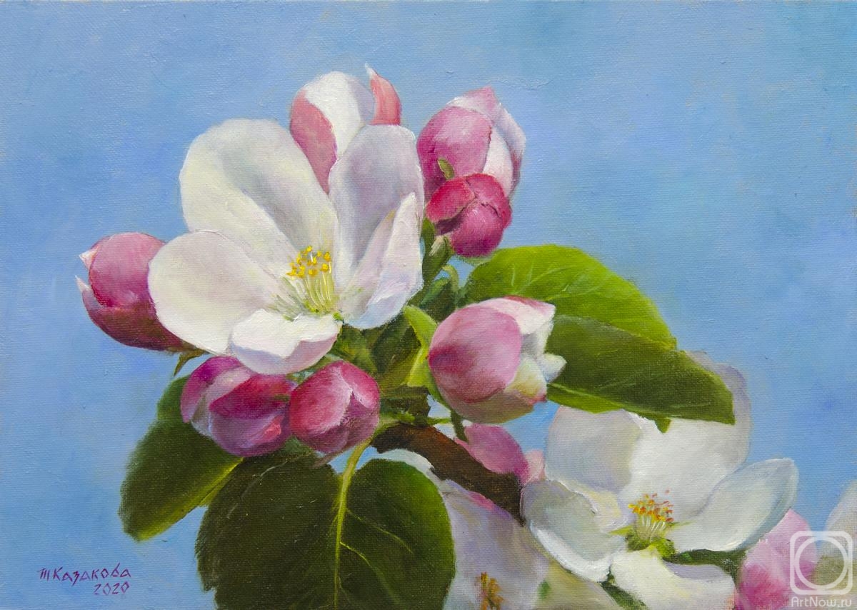 Kazakova Tatyana. Apple blossoms