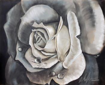 Rose flower. Monochrome (White Dew). Movsisyan Tigran