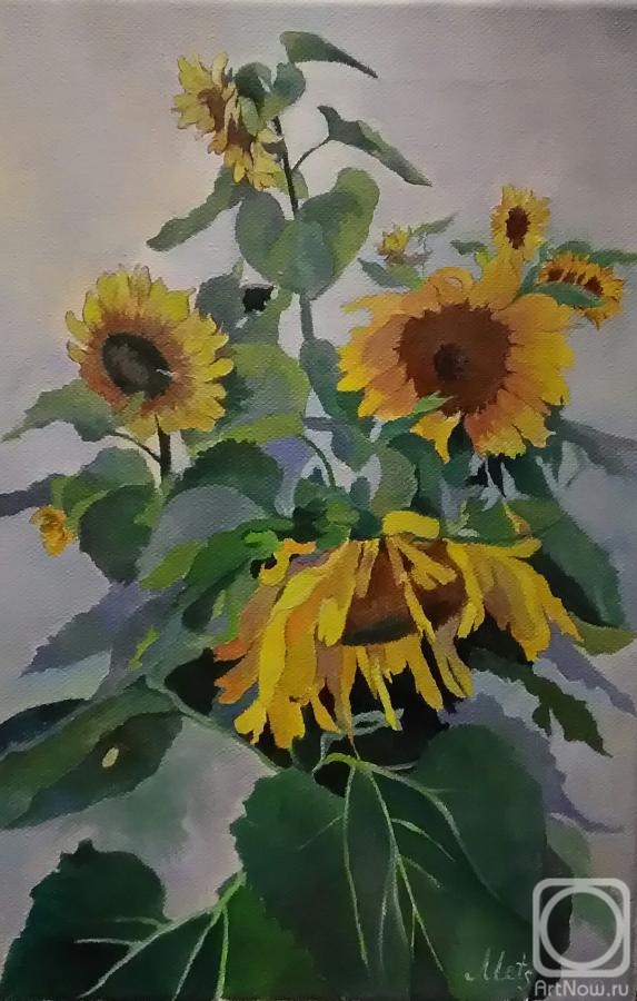 ������� ������ �� ������. ��� ���������. ����������