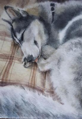 Tired animals sleep (A Picture With A Husky). Kuropteva Evgenia