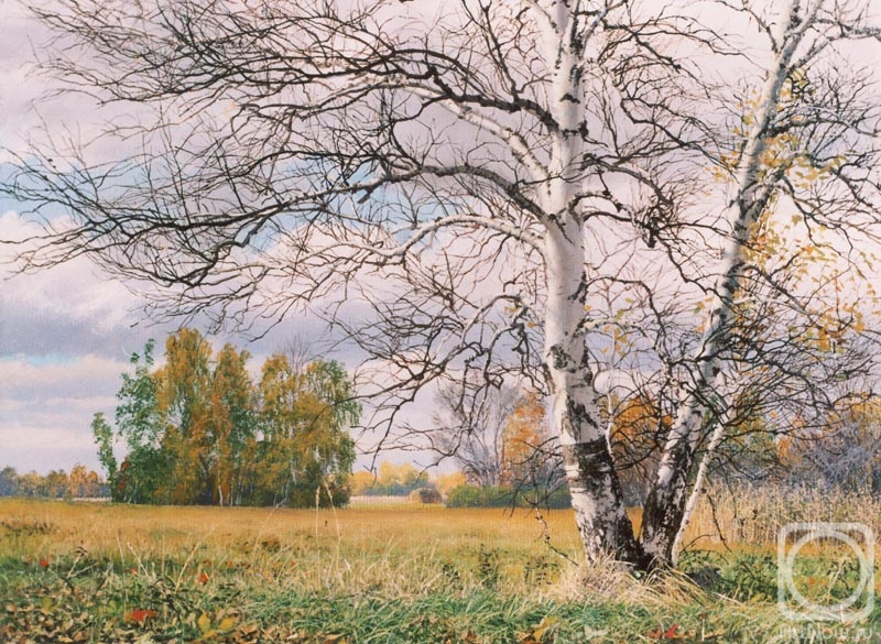 ������� ������ �� ������. ������ �������. �� ������