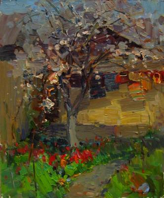 The pear tree has blossomed (Blooming Courtyard). Makarov Vitaly