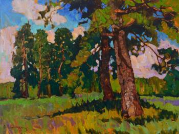 In the forest shadow. Kamenev Aleksei