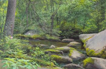 Forest stream. Sheglov Dmitriy