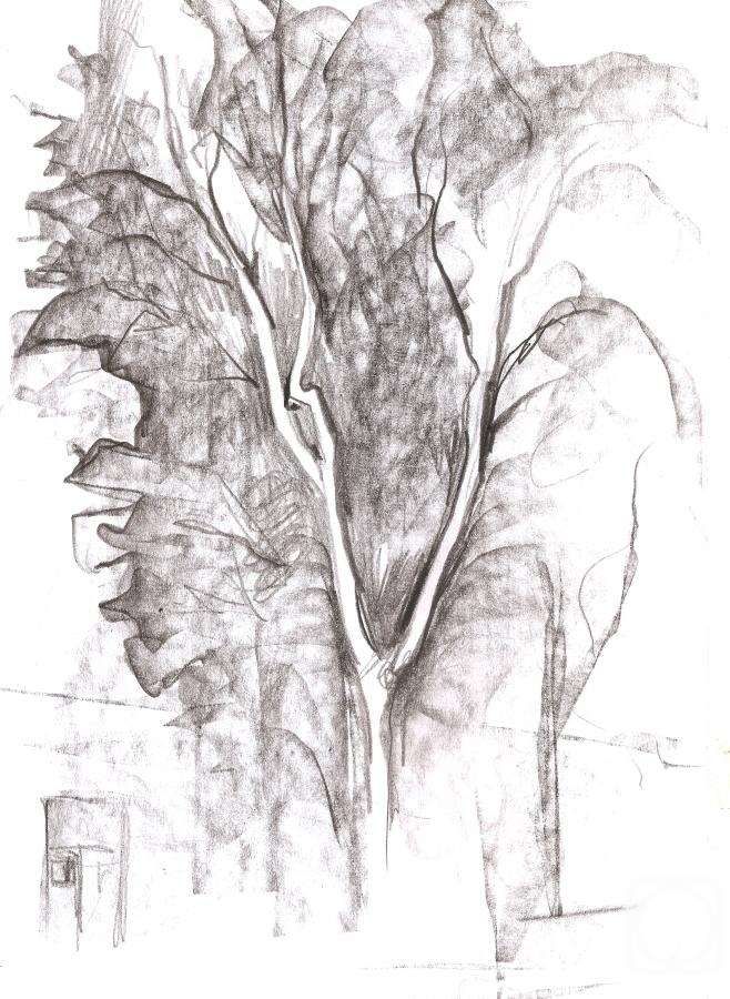 Lavrinenko Bogdan. Reflection of a tree